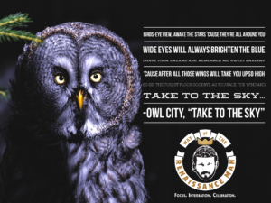Way of the Renaissance Man Jim Woods Shares Owl City Wisdom