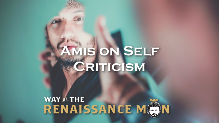 Amis on Self Criticism